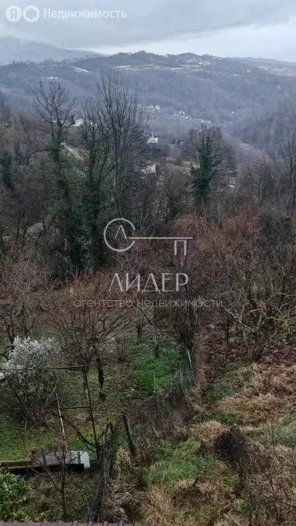 Участок в Краснодарский край, городской округ Сочи, село Богушёвка (6 ... - Фото 1