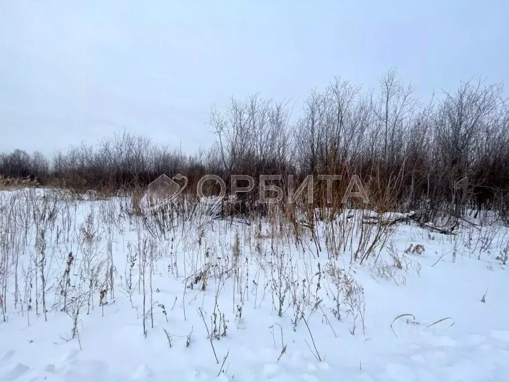 Участок в Тюменская область, Тюмень Большое Царево-1 ТСН,  (9.0 сот.) - Фото 1
