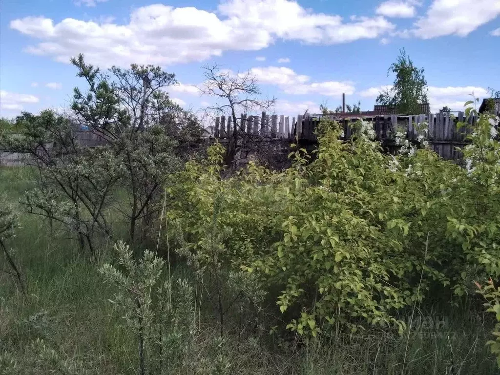 Участок в Омская область, Омск пос. Николаевка, ул. Загородная, 48А ... - Фото 0