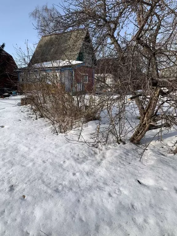 Дом в Омская область, Омск СОСН Березка тер.,  (39 м) - Фото 2