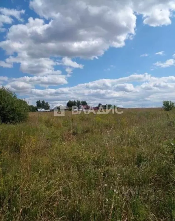 Участок в Нижегородская область, Лысковский район, д. Летнево Новая ... - Фото 0