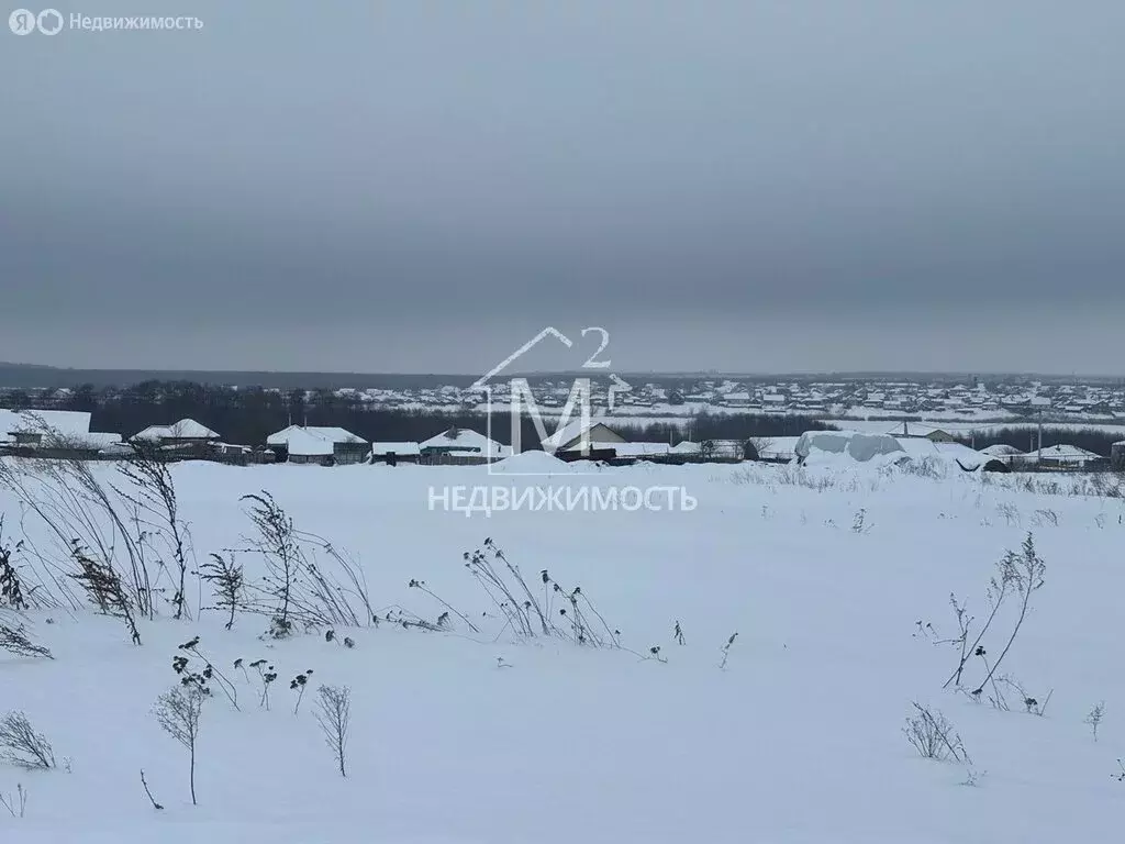 Участок в село Репное, Пионерская улица, 125 (10 м) - Фото 1