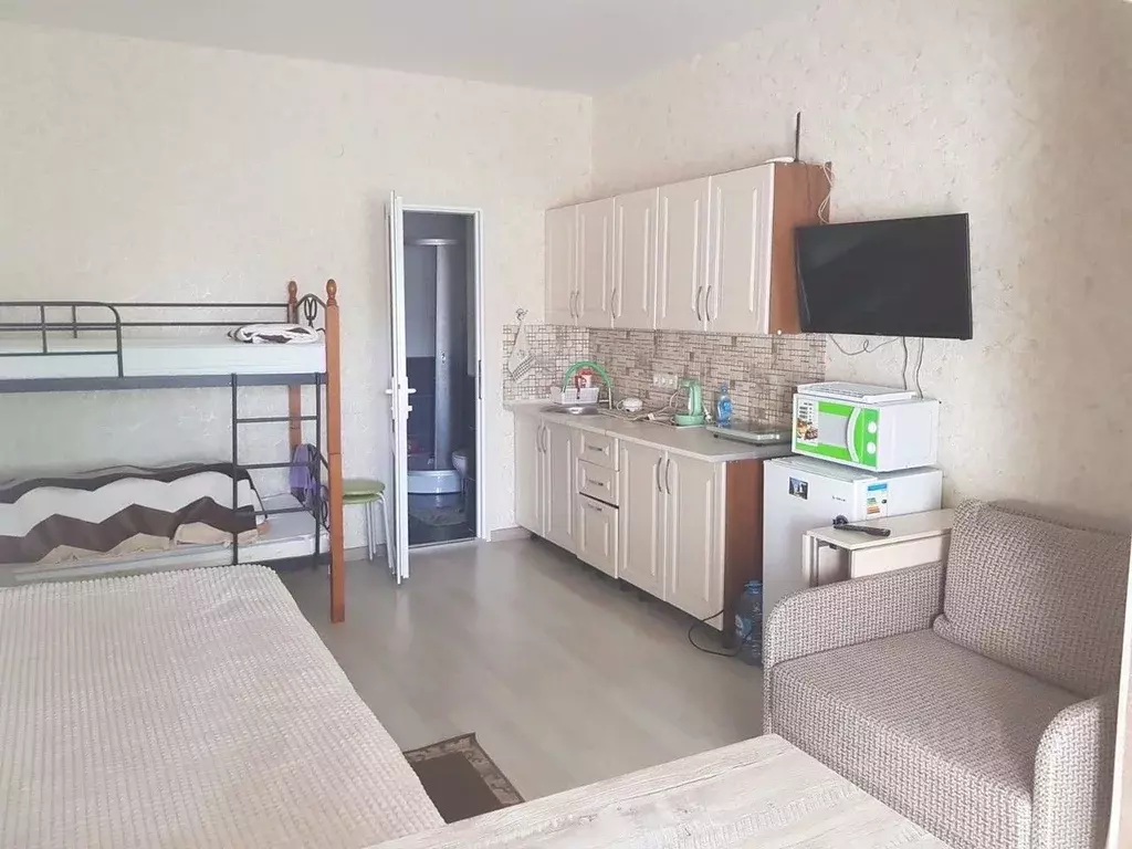 Студия Севастополь с. Орловка, ш. Качинское, 33Б (25.0 м) - Фото 0