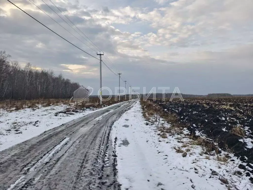Участок в Тюменская область, Тюменский муниципальный округ, ... - Фото 2