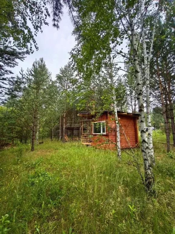 Участок в Красноярский край, Емельяново городское поселение, Сосновый ... - Фото 1