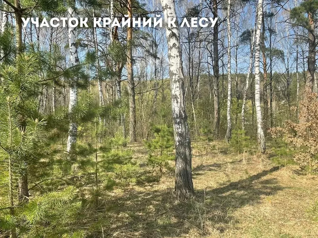 Участок в Тульская область, Заокский район, Демидовское с/пос, с. ... - Фото 1