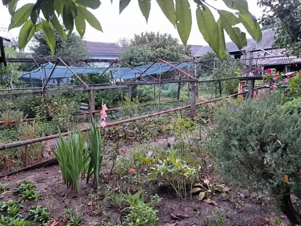 Участок в Адыгея, Майкоп ул. 12 Марта (7.0 сот.) - Фото 2