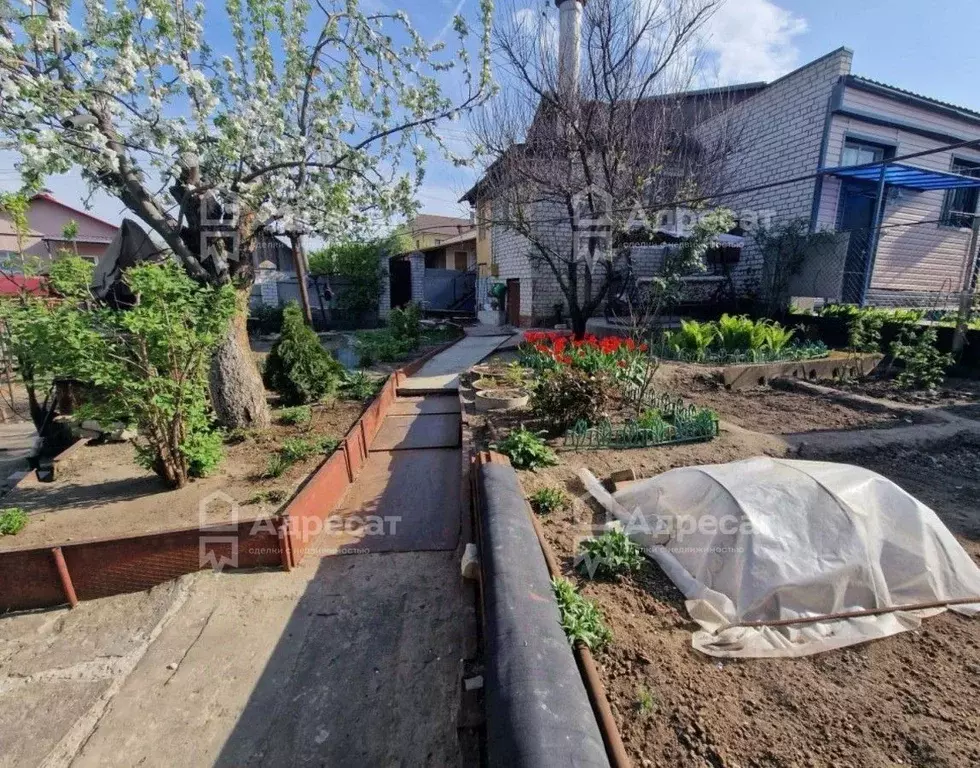 Участок в Волгоградская область, Волгоград ул. Зеленая зона (7.42 ... - Фото 2