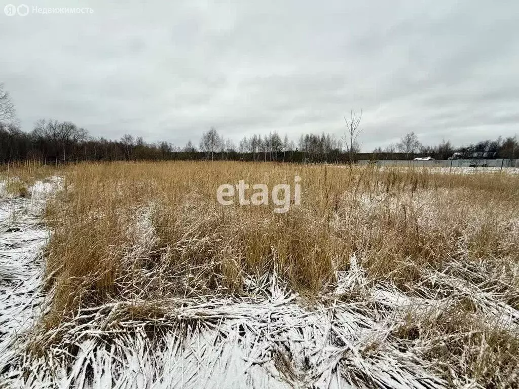 Участок в Петушинский район, муниципальное образование Нагорное, ... - Фото 0