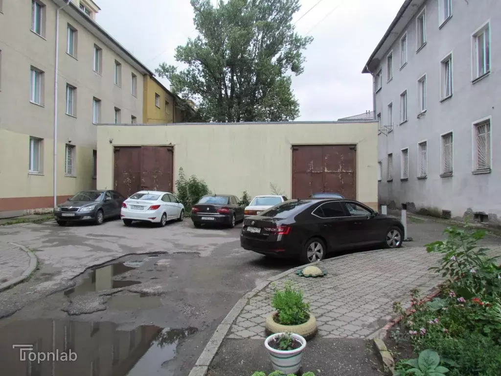 Помещение свободного назначения в Калининградская область, Калининград ... - Фото 1