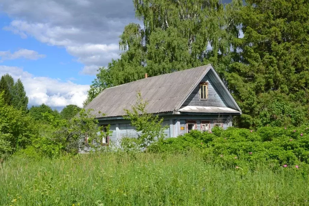 Дом в Тверская область, Осташковский городской округ, пос. Сиговка, д. ... - Фото 1