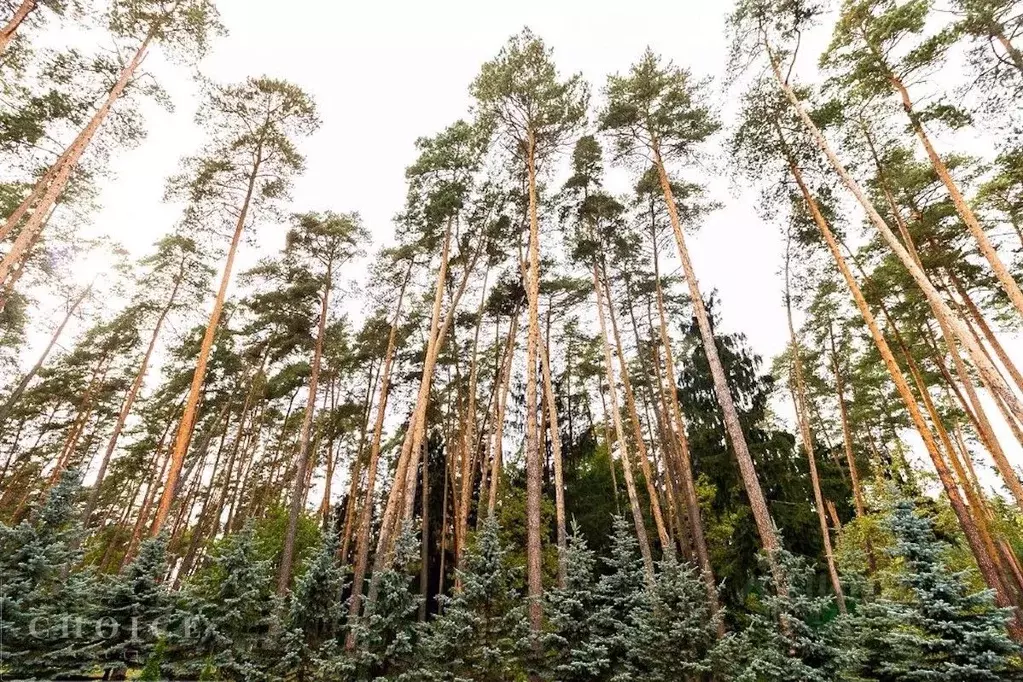 Участок в Московская область, Одинцовский городской округ, д. Бородки, ... - Фото 0