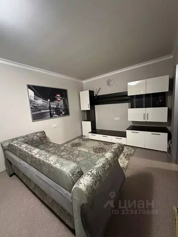 2-к кв. Московская область, Ногинск Богородский городской округ, ул. ... - Фото 2