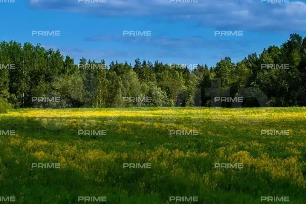 Участок 15 сот. (ИЖС) - Фото 1