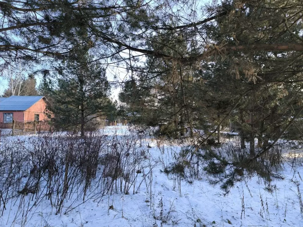 Участок в Московская область, Раменский муниципальный округ, с. Речицы ... - Фото 2