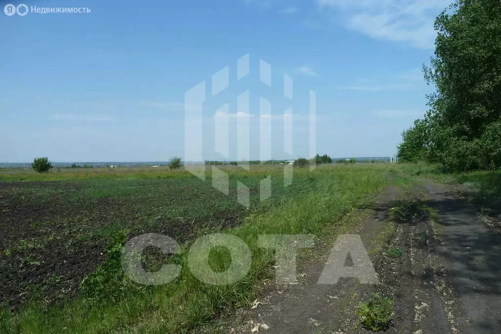 Участок в Новоусманский район, село Хреновое (60 м) - Фото 2