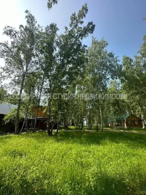 Помещение свободного назначения в Новосибирская область, Искитимский ... - Фото 2