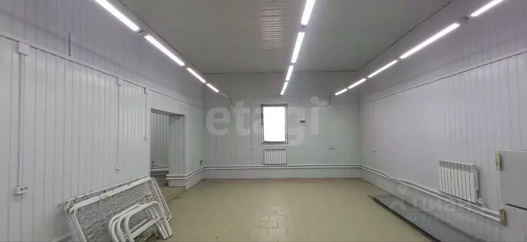 Помещение свободного назначения в Алтай, Майминский район, с. Майма ... - Фото 1