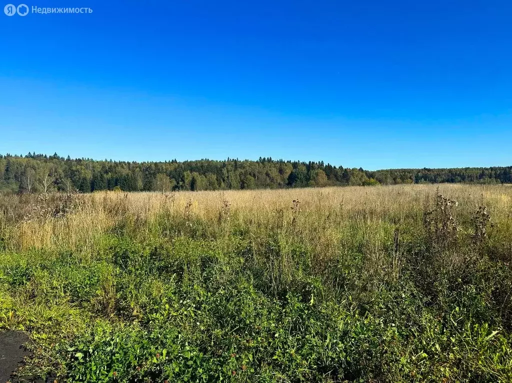 Участок в Московская область, Дмитровский муниципальный округ, КП ... - Фото 2
