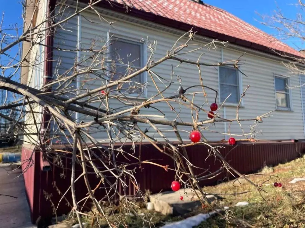Дом в Иркутская область, Иркутский муниципальный округ, Радужка СНТ ... - Фото 2
