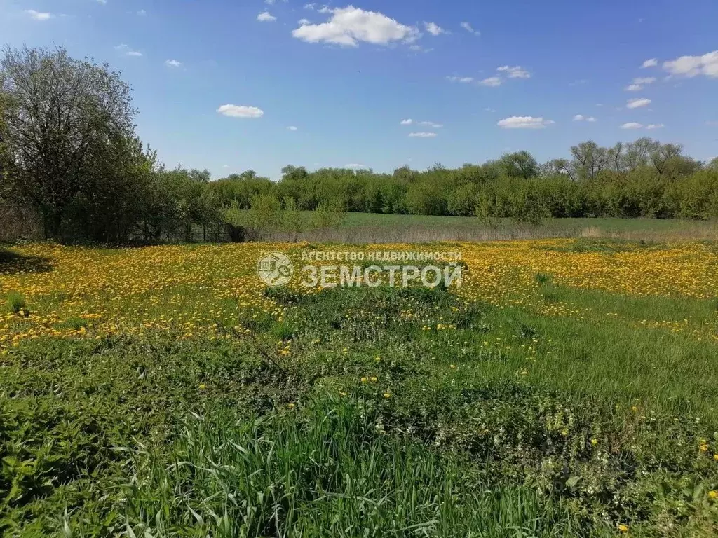 Участок в Московская область, Коломна городской округ, с. Клишино ул. ... - Фото 2