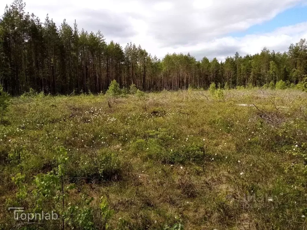 Участок в Коми, Корткеросский район, Додзь муниципальное образование, ... - Фото 1