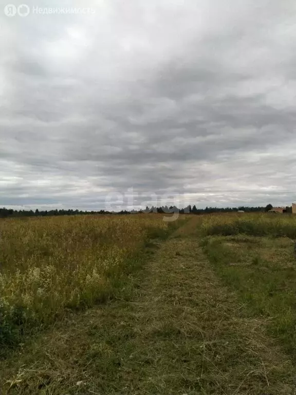 Участок в Череповецкий район, муниципальное образование Югское, село ... - Фото 0