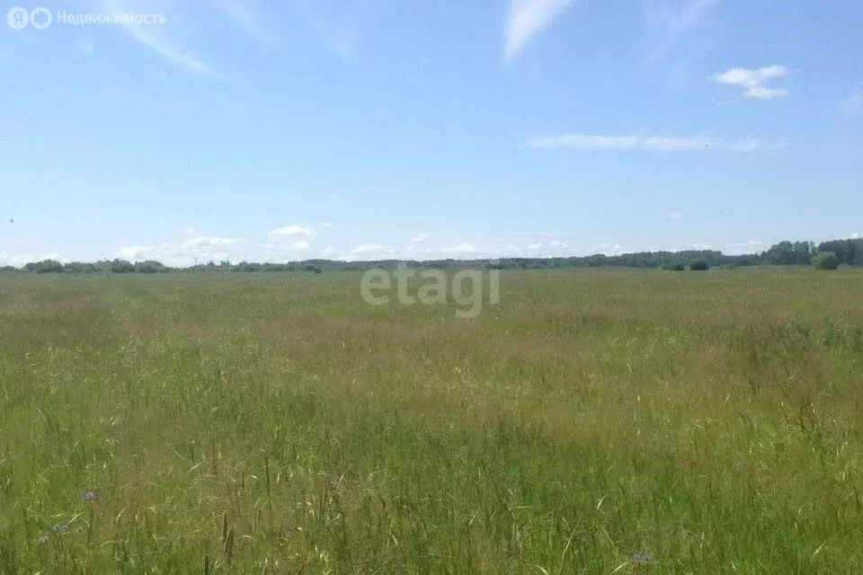 Дом в Мелеуз, СНТ Вишнёвый сад, Центральная улица (30 м) - Фото 1