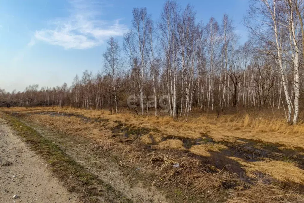 Участок в Хабаровский край, Хабаровский район, с. Восточное  (10.1 ... - Фото 1