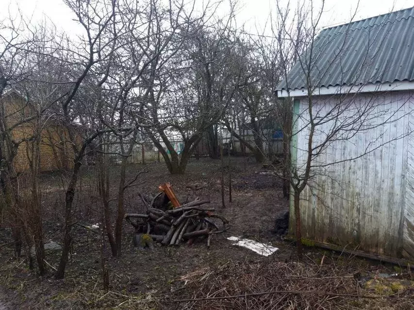 Участок в Ленинградская область, Гатчинский муниципальный округ, ... - Фото 1