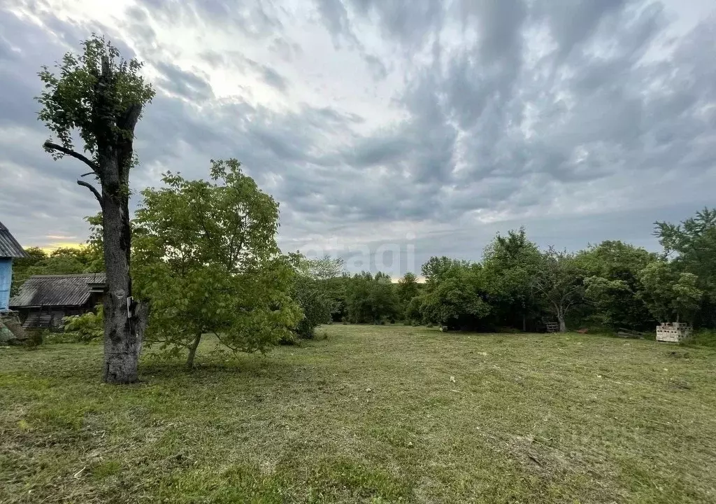 Погода в кутаис краснодарский. П Кутаис горячий ключ. Кутаис. Село Кутаис переулок Лесной дом 4. Поселок Кутаис горячего кюча фото.