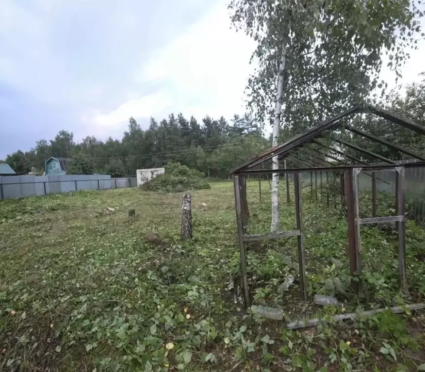 Участок в Нижегородская область, Дзержинск Зарница садоводческое ... - Фото 2