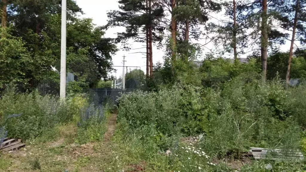 Участок 11 сот. (ИЖС) - Фото 0