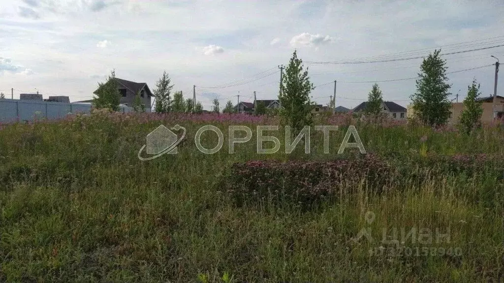 Участок в Тюменская область, Тюменский район, с. Кулига ул. ... - Фото 0