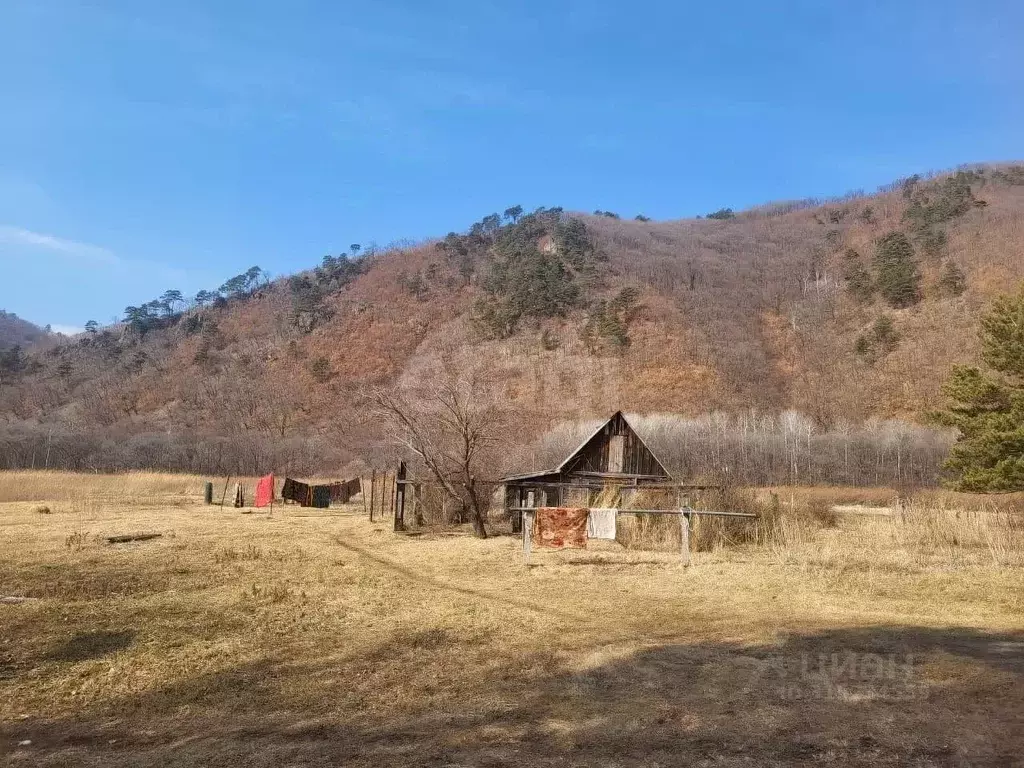Дом в Приморский край, Михайловский муниципальный округ, с. Отрадное ... - Фото 1