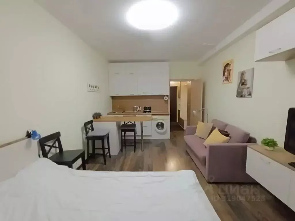 Студия Санкт-Петербург Пулковское ш., 14Г (25.0 м) - Фото 1