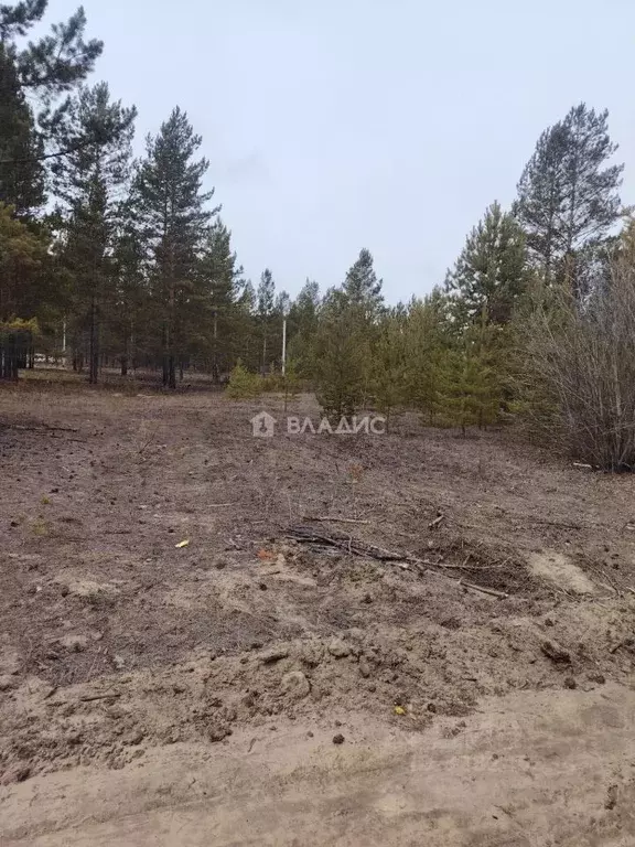 Участок в Бурятия, Улан-Удэ ул. Солбона Ангабаева (6.0 сот.) - Фото 1