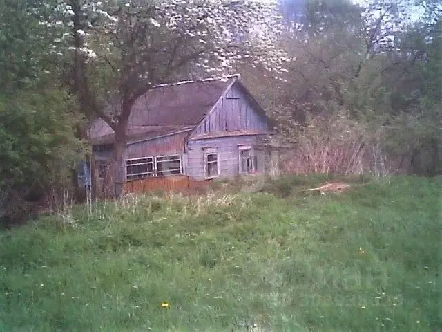 Участок в Брянская область, Стародубский муниципальный округ, с. ... - Фото 1