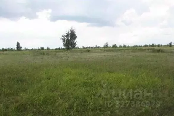 Участок в Самарская область, Тольятти Южное ш. (2300.0 сот.) - Фото 1