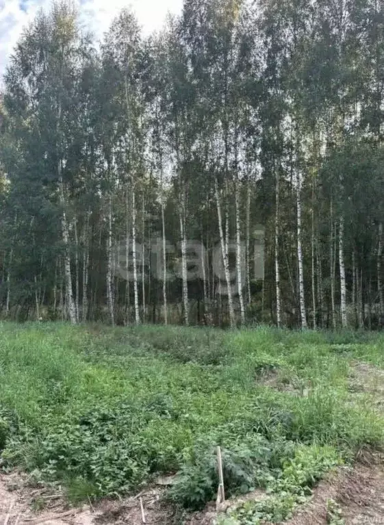 Участок в Ленинградская область, Всеволожский район, Юкковское с/пос, ... - Фото 1