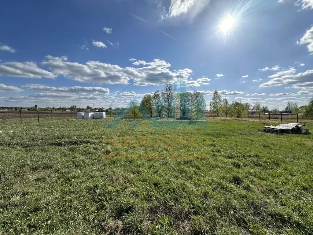 Участок в Владимирская область, Муром с. Ковардицы, ул. Молодежная, 2 ... - Фото 2