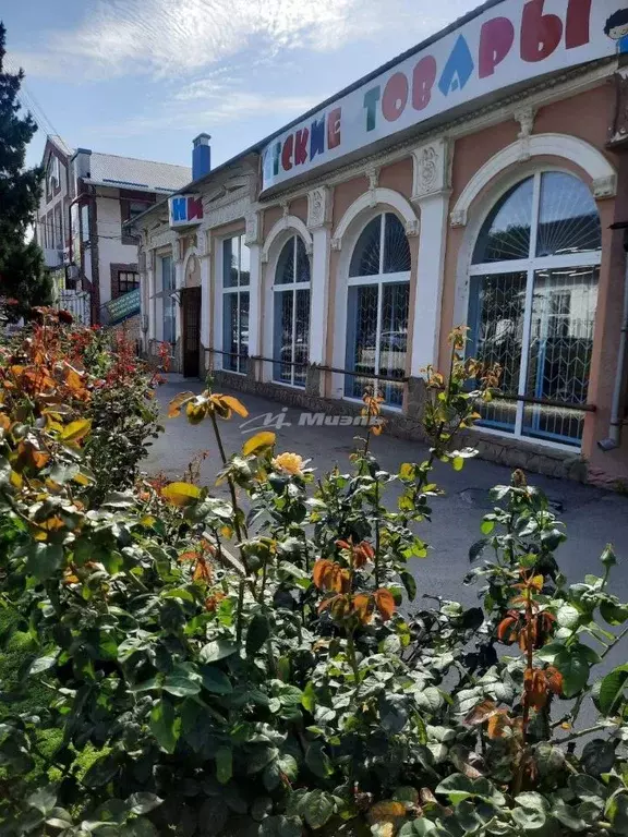 Помещение свободного назначения в Крым, Джанкой ул. Калинина, 23 (295 ... - Фото 1