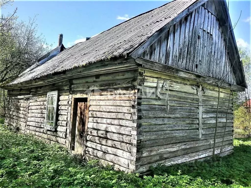 Дом в Калужская область, Думиничский муниципальный округ, с. Брынь ул. ... - Фото 2