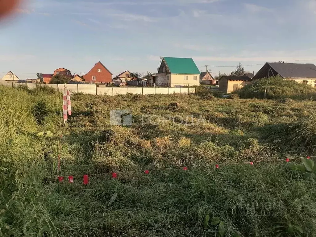 Участок в Новосибирская область, Новосибирский район, с. Криводановка ... - Фото 2