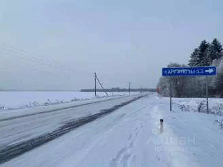 Участок в Ленинградская область, Волосовский район, Калитинское с/пос, ... - Фото 0