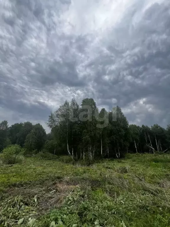Участок в Тюменская область, Нижнетавдинский муниципальный округ, ... - Фото 1