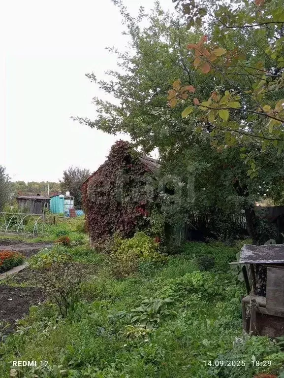 Участок в Томская область, Томск Ромашка СНТ, ул. 9-я (4.5 сот.) - Фото 1