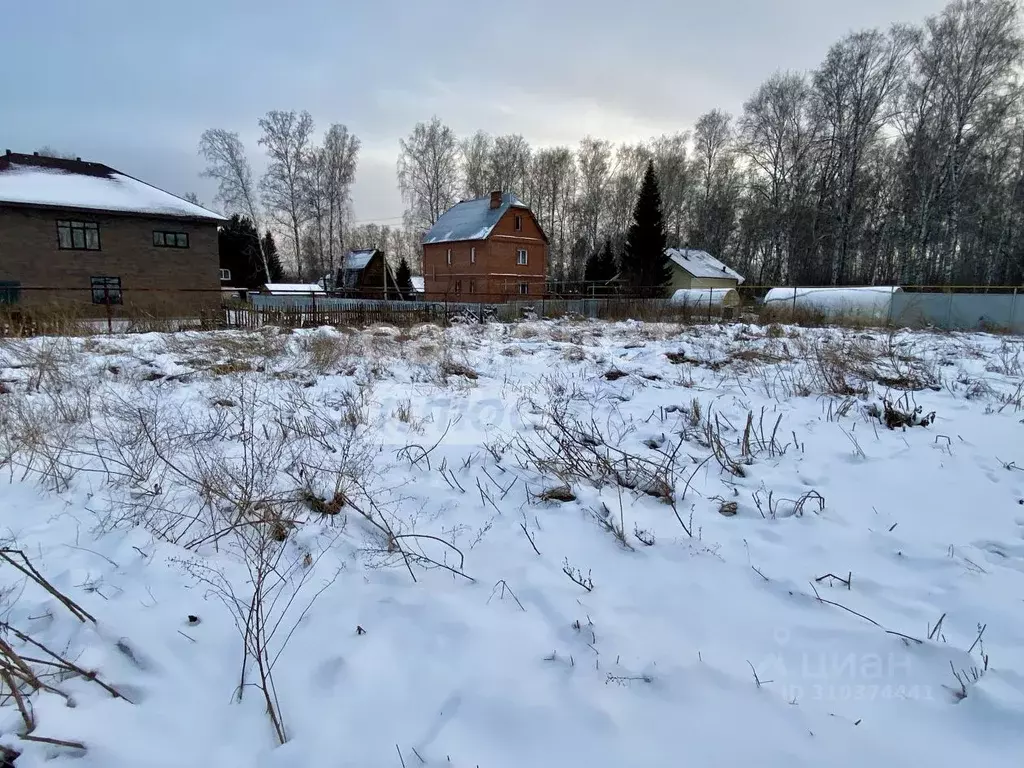 Участок в Новосибирская область, Новосибирский район, Мичуринский ... - Фото 1