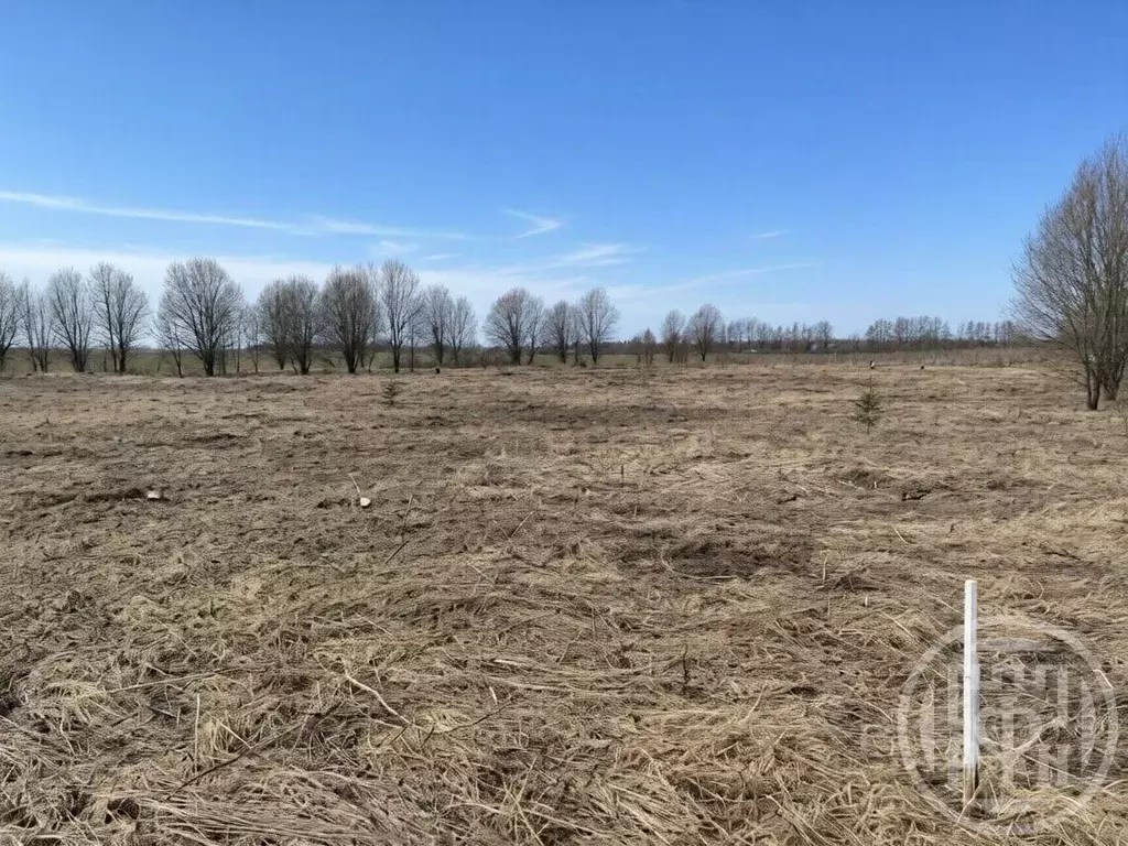 Участок в Ленинградская область, Волосовский район, Бегуницкое с/пос, ... - Фото 2