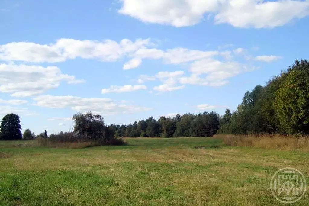 Участок в Ленинградская область, Выборгский район, Красносельское ... - Фото 2